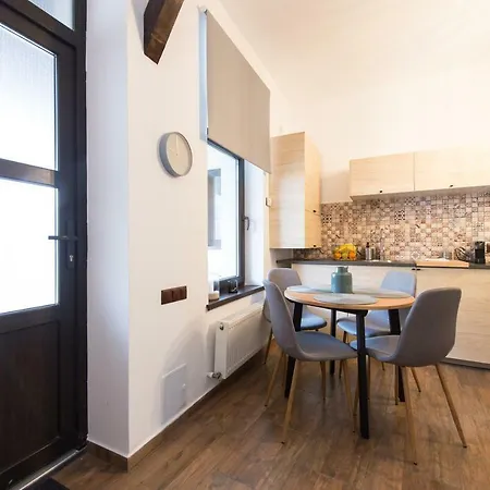 Lovely Flat With Patio And Mountain Views Apartment Brasov